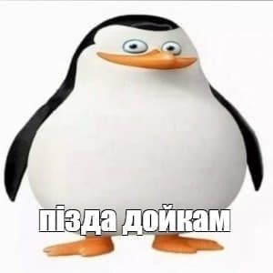 ANDREY_OVSSS