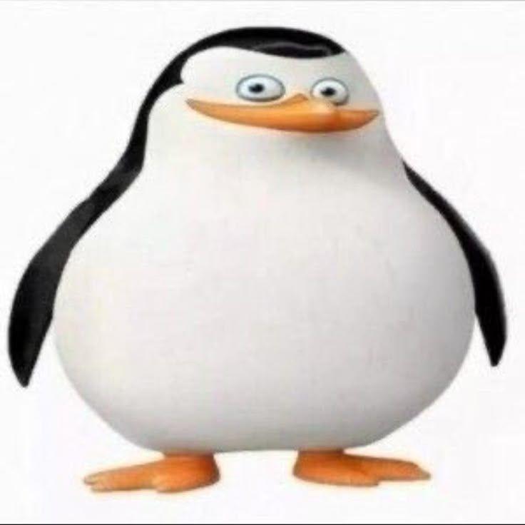 -Fr1ze- avatar