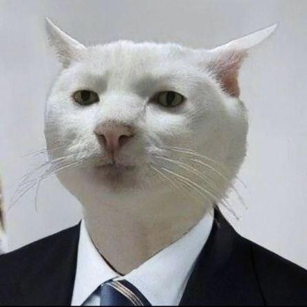 6zver9 avatar