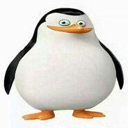 doz1ks avatar