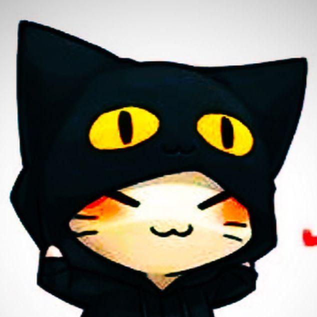 Player CatXoa avatar