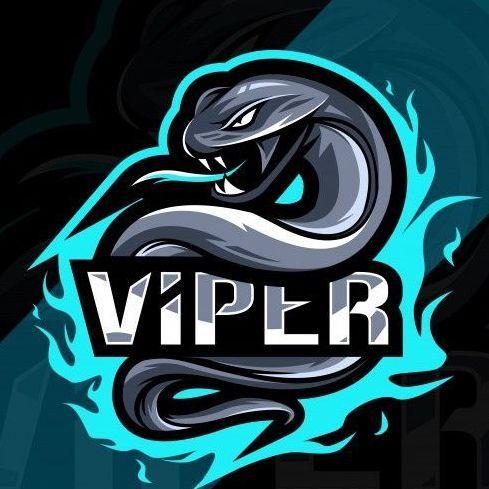 Team Viper FEFU