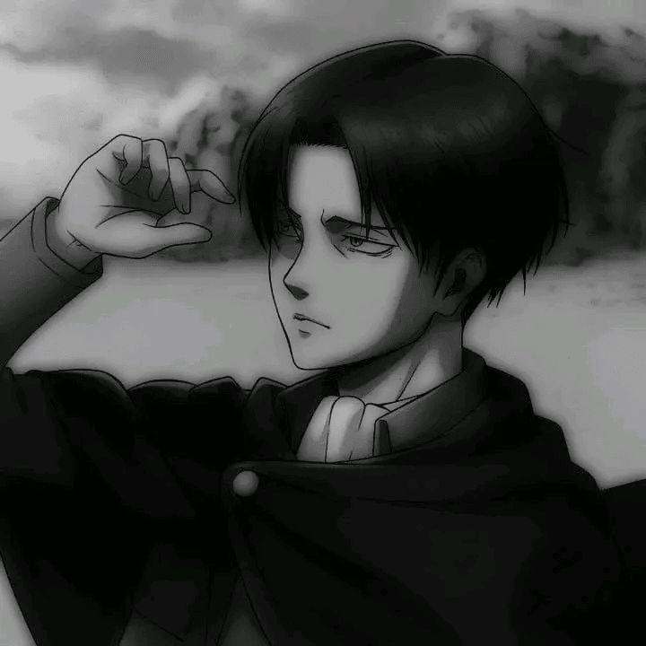 absoluterise avatar