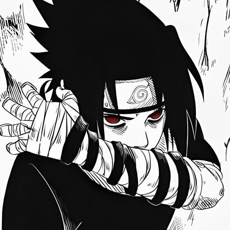 ace-SHADY11 avatar