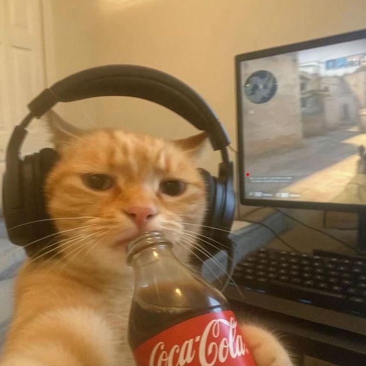 dad1m_ avatar