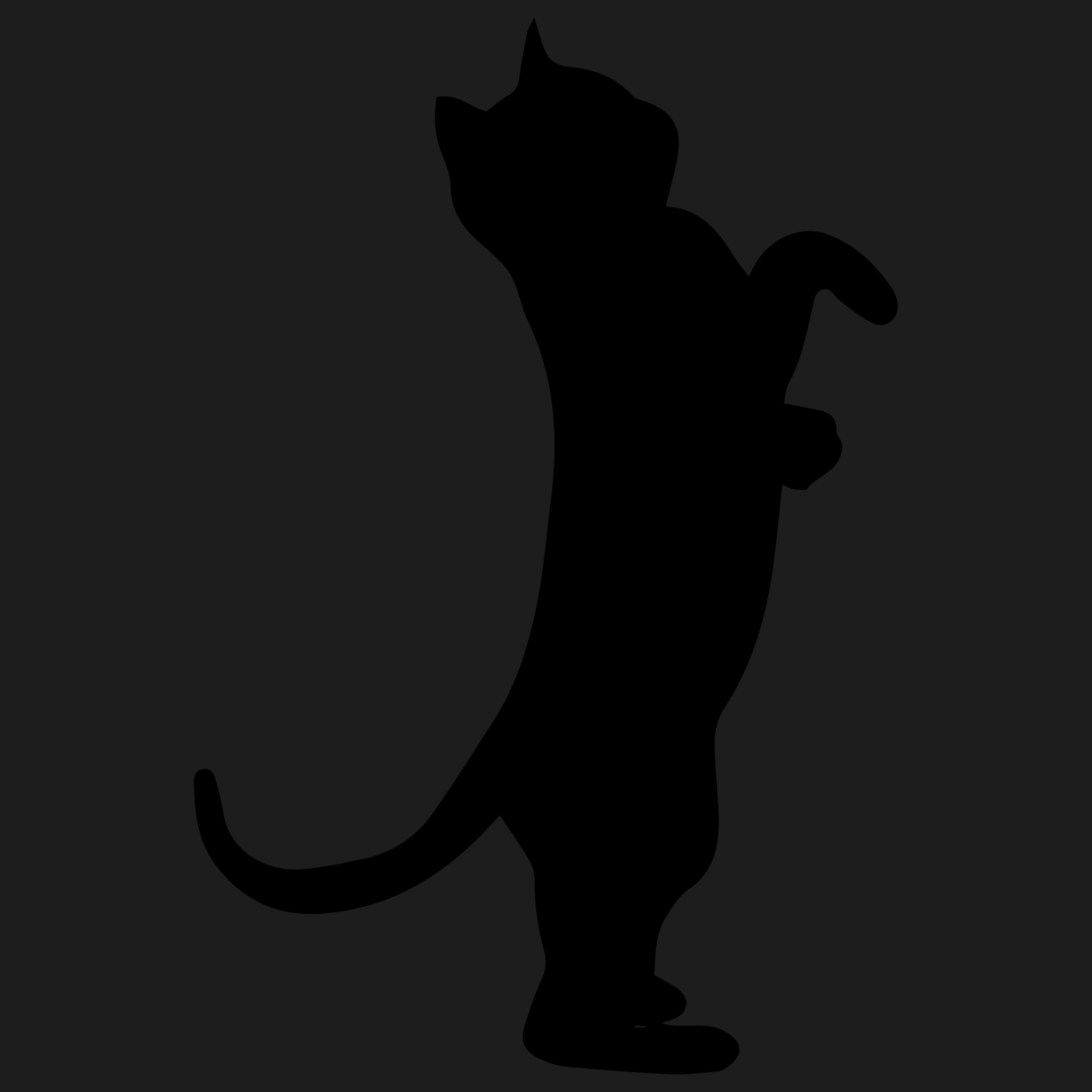 kapriaty FACEIT avatar