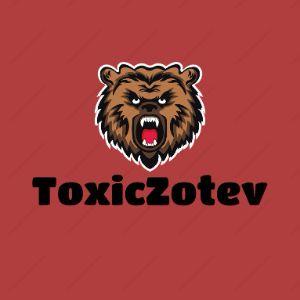 ToxicZotev avatar