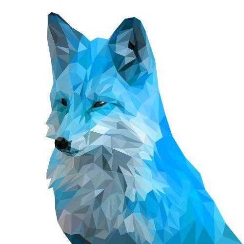 xIceFox avatar