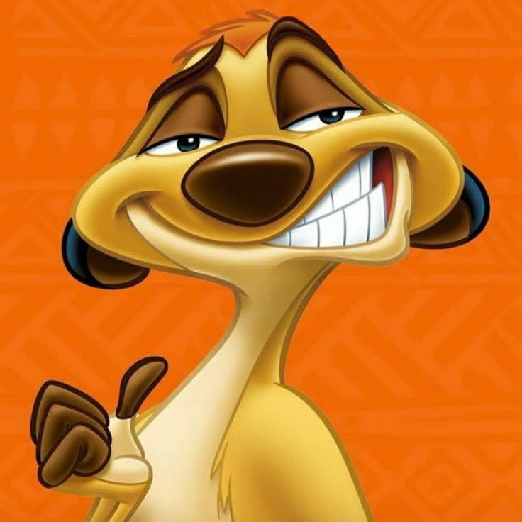 -TIMON-N avatar