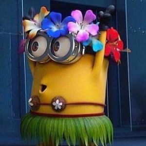 Hula Hula