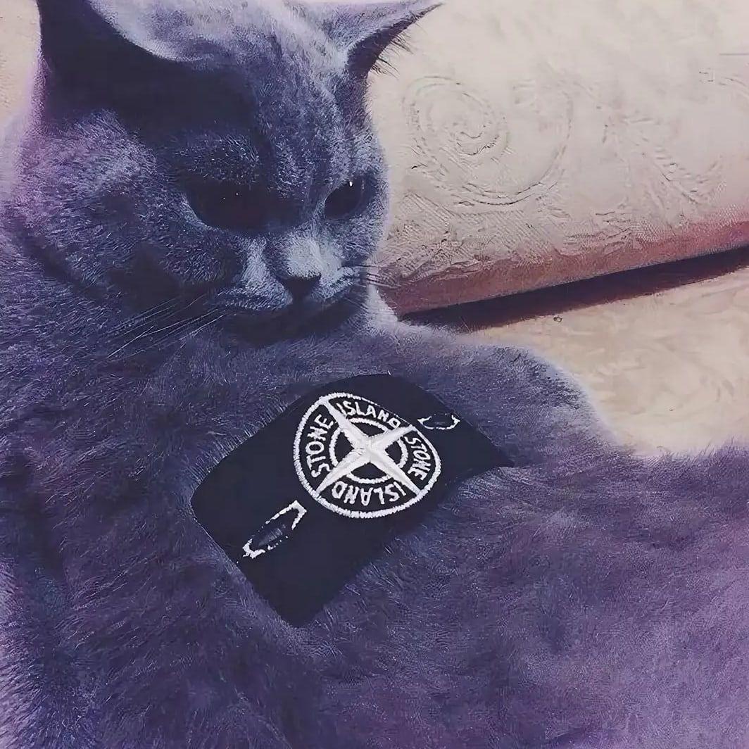 vrases_ avatar