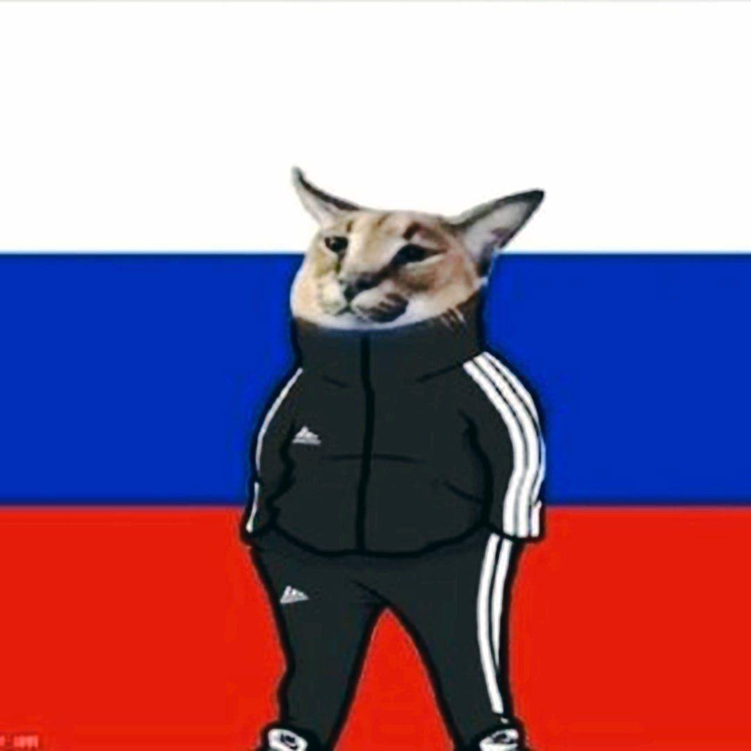 Faceit avatar