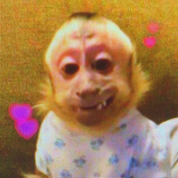 fannL avatar