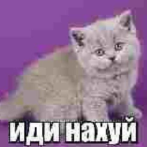 Geiyf1ks avatar