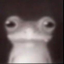 Akota_ avatar