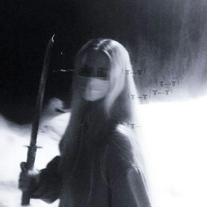 tortor_