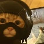 Dex__y__