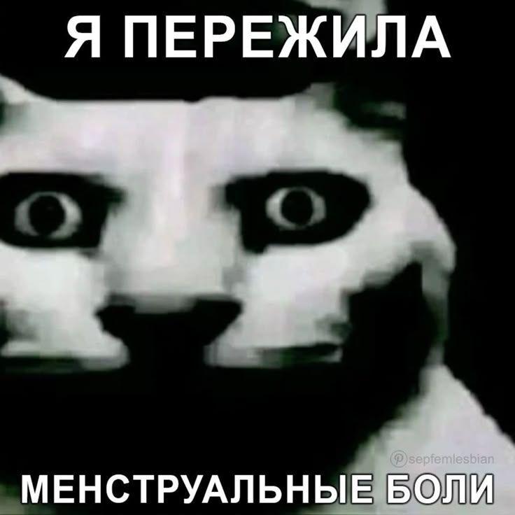 piskasosa avatar