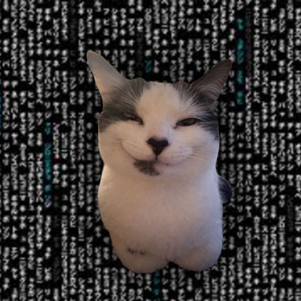 Lol1kGG228