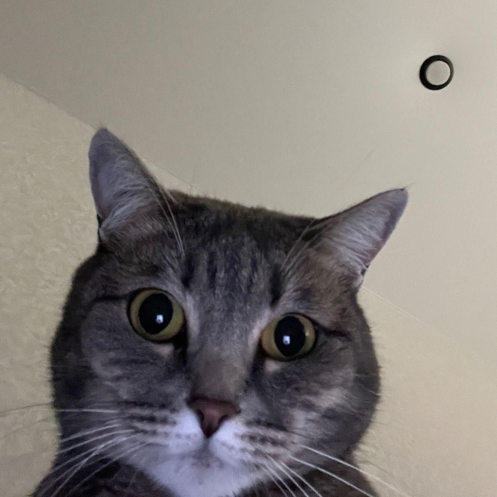 buba6 avatar