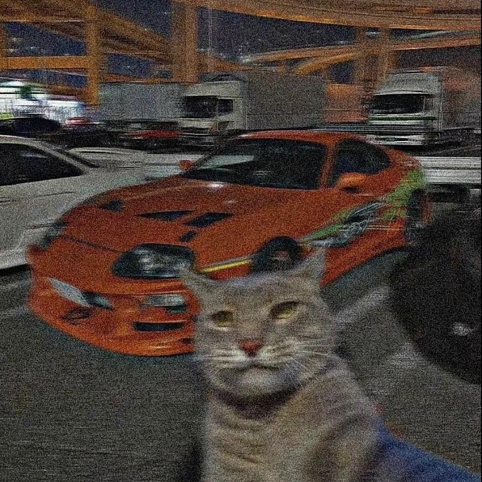 drrah avatar