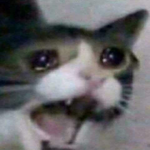 dziqq