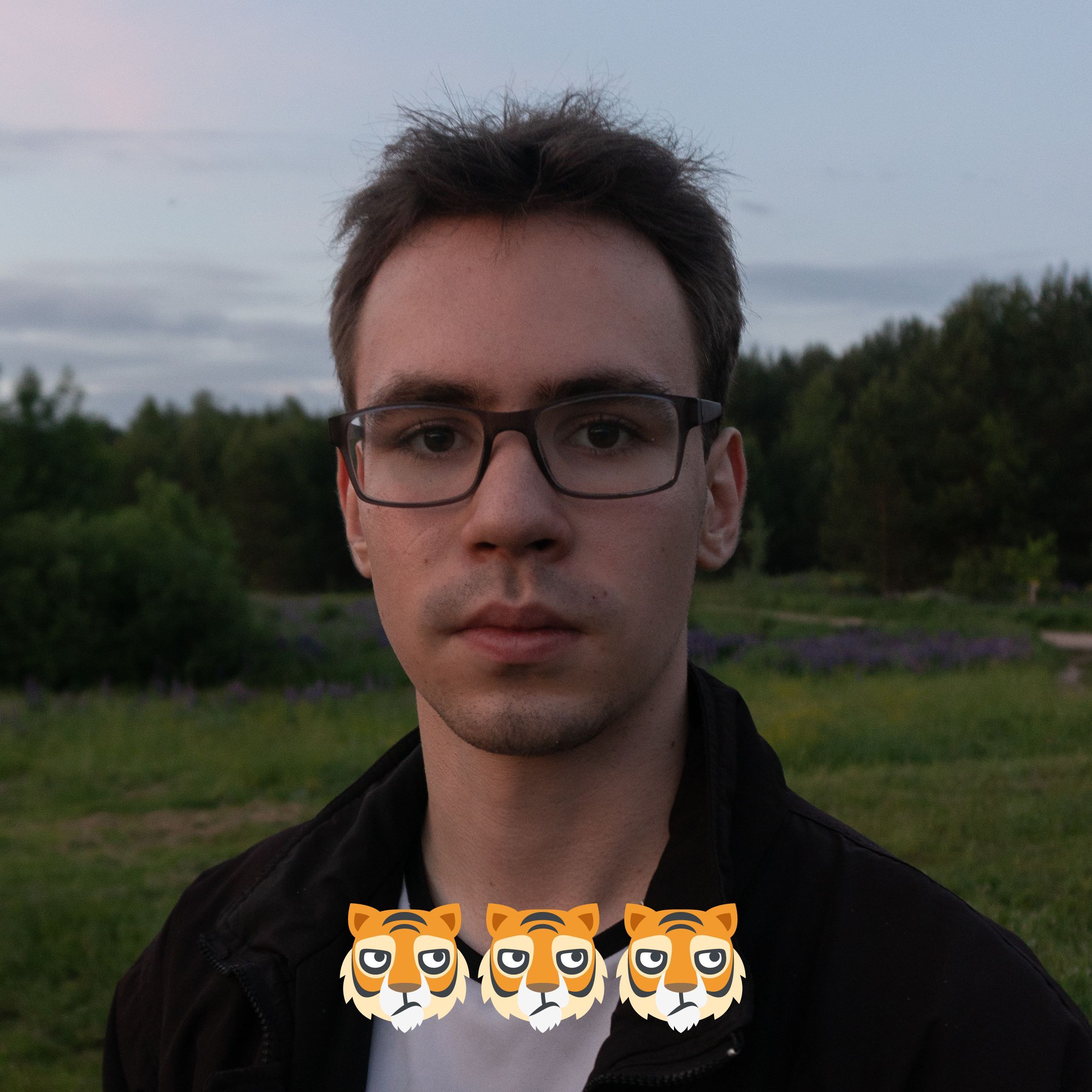 maxidw