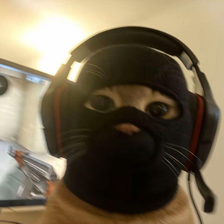 Norbi__ avatar
