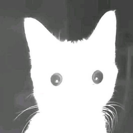 BratBezdarya avatar