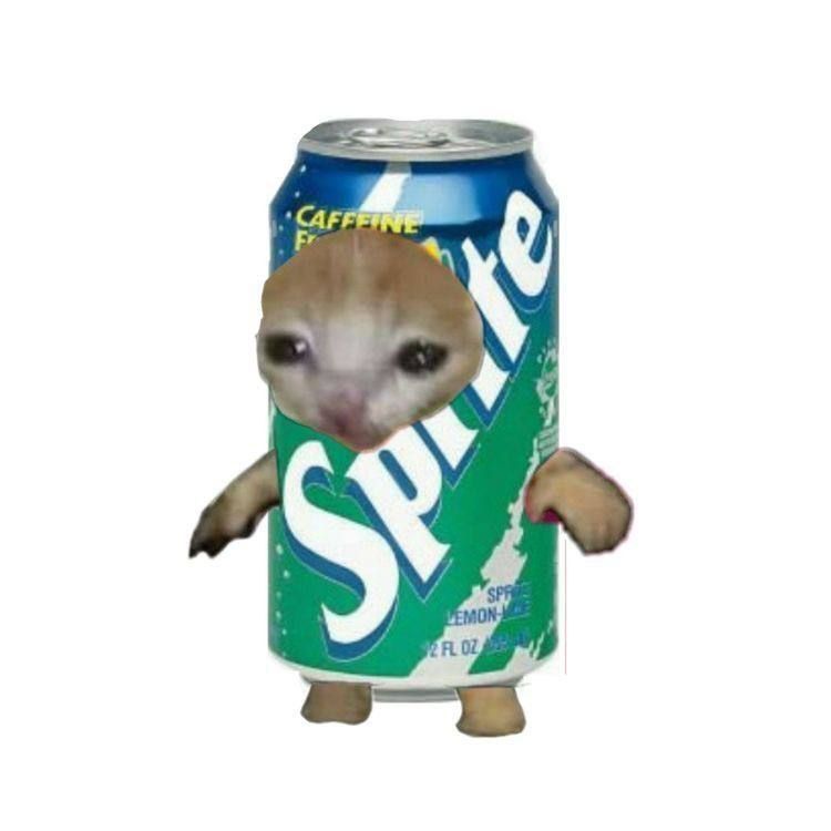 Ind11