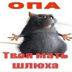 Zyuda_XD avatar