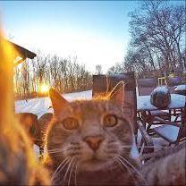 LoLik_KroLik avatar