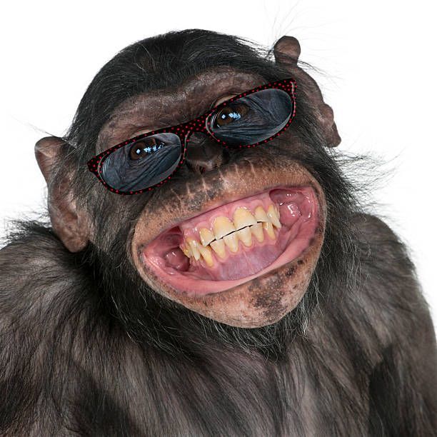 MonkeySpunk FACEIT avatar