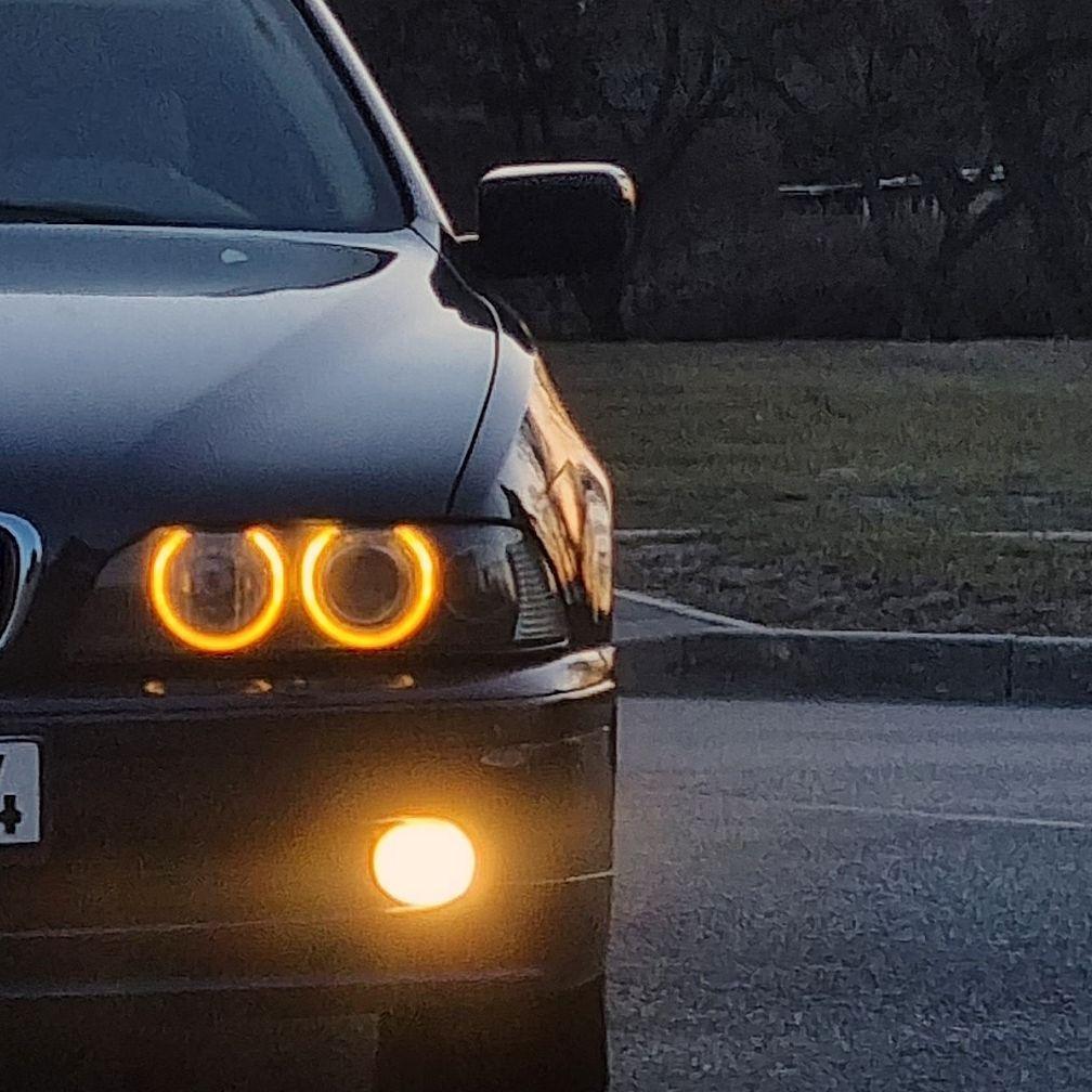 GambleBeamer avatar