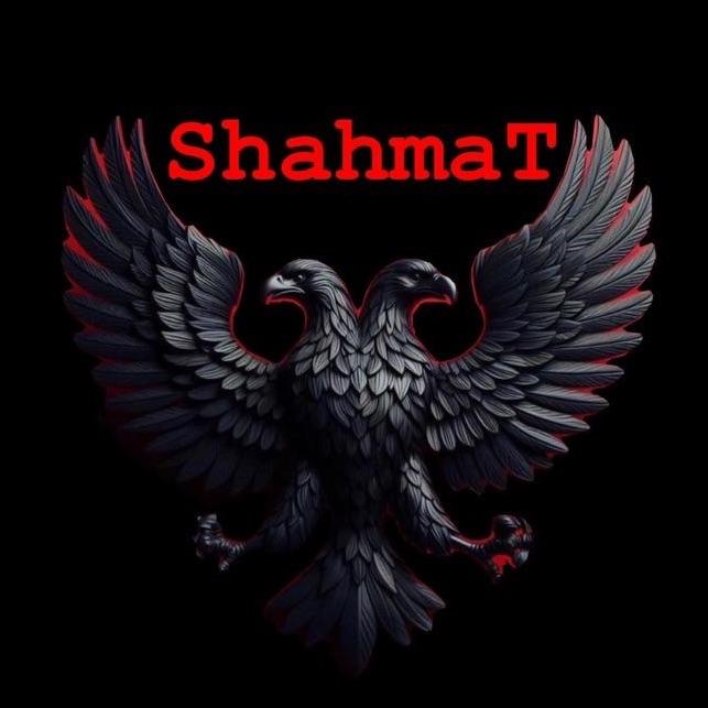 Player _ShahmaTT_ avatar