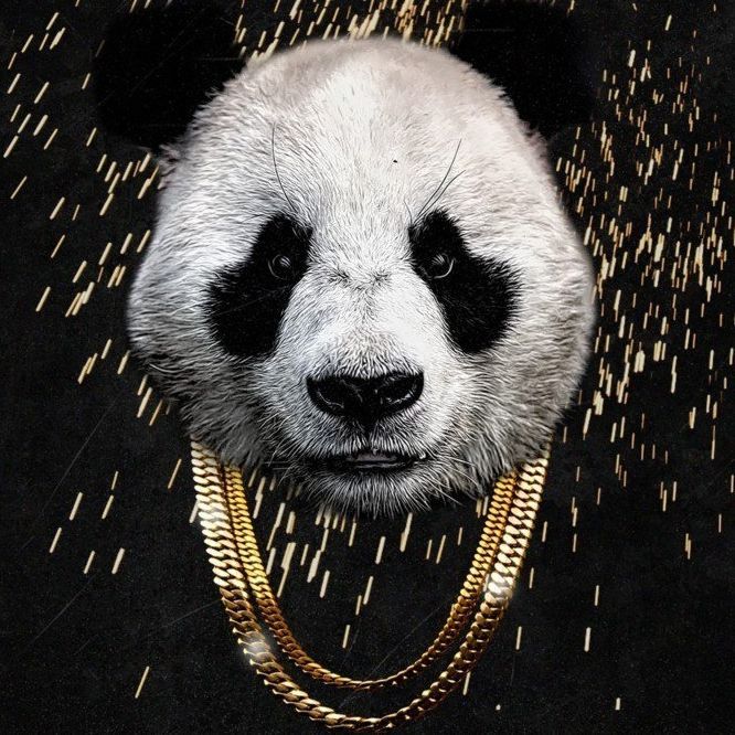 PandaT3