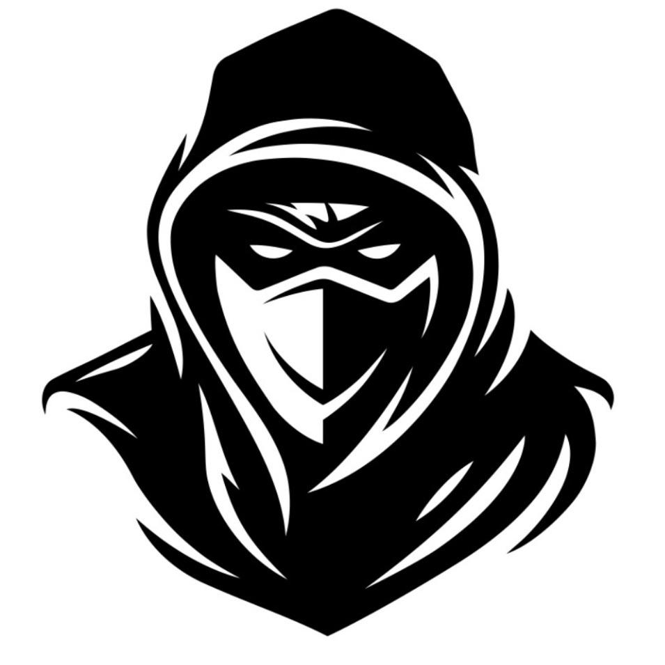 kz12ninja