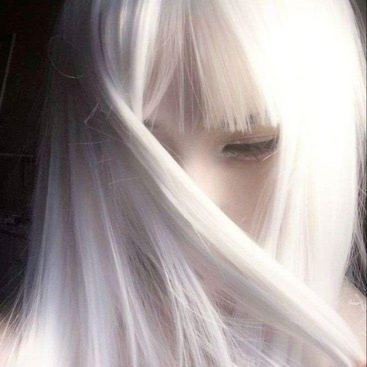 hhawk avatar