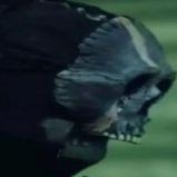AmGhostDude avatar