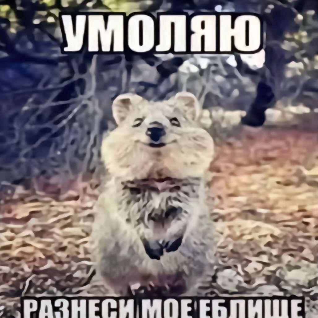 uzbekmrgyros