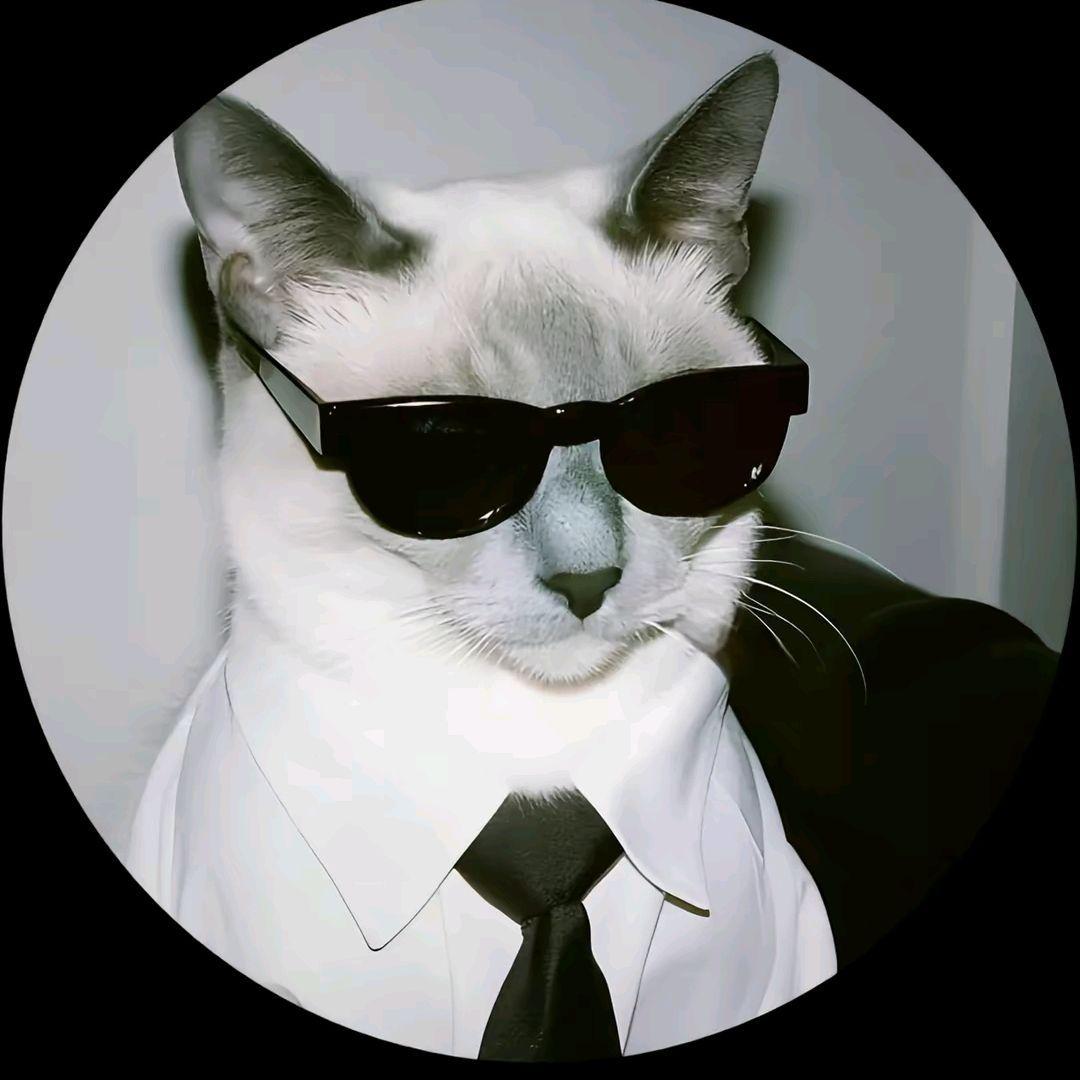 unsto0ppable avatar