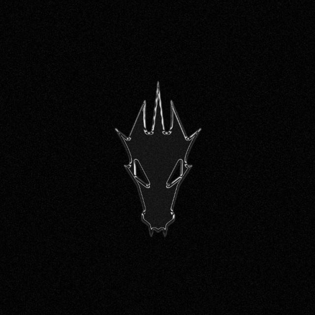TheLastDragons