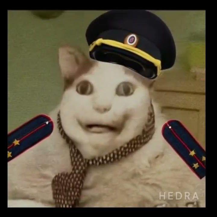 SUPIKCS avatar