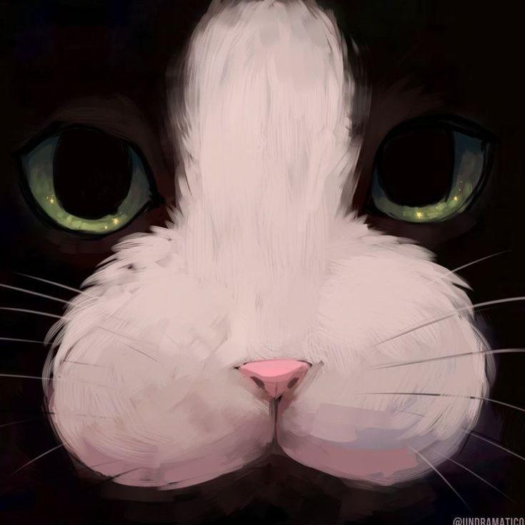 memor0es avatar