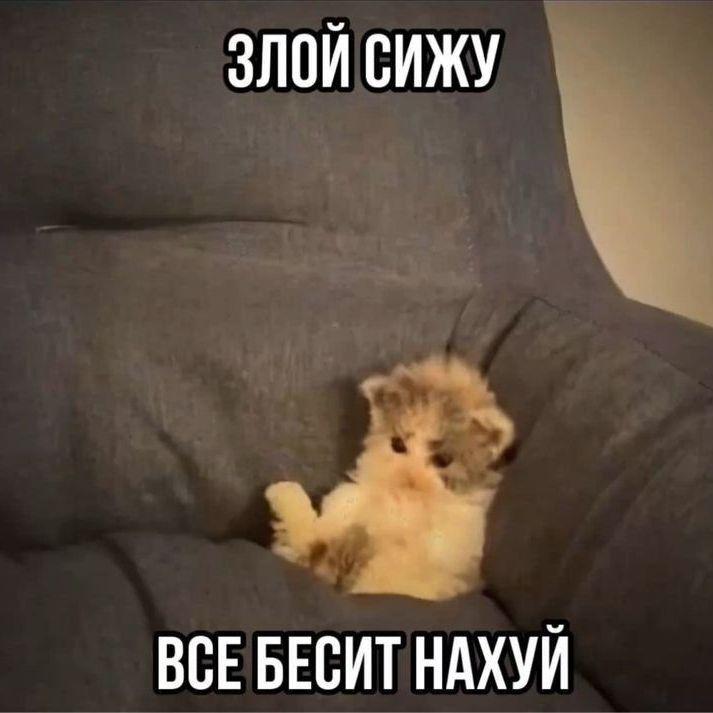 sdsgsq3tqwr