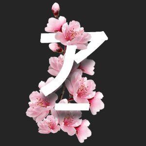 -An1mos1ty-
