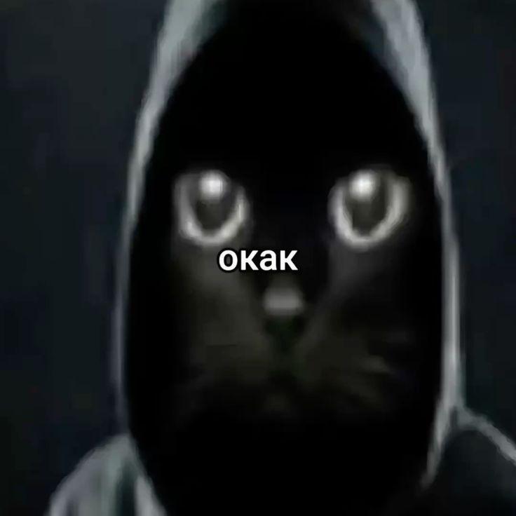 givemevalya avatar