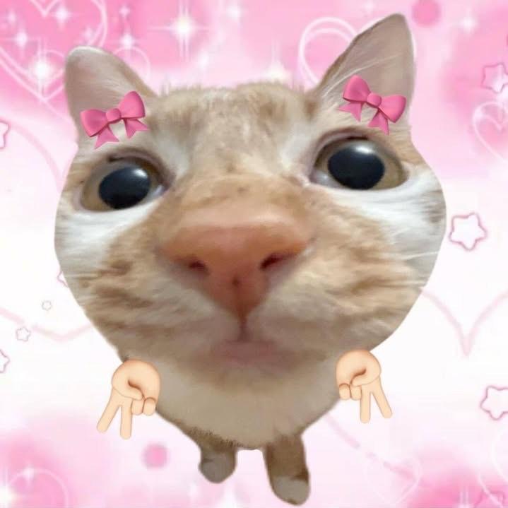 -xanaxtell avatar