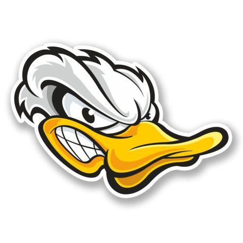 WilDucK2020 avatar