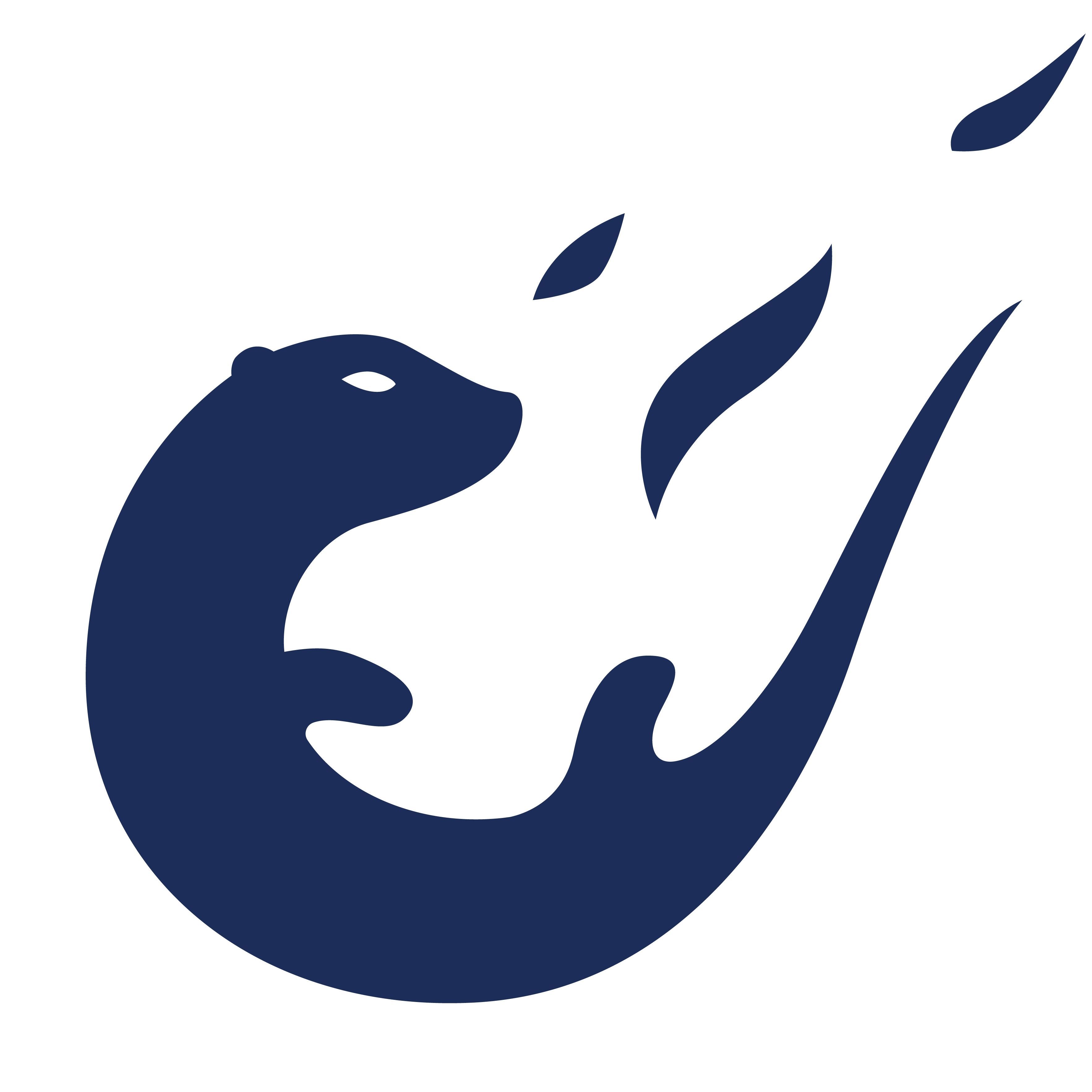 Kushtaka